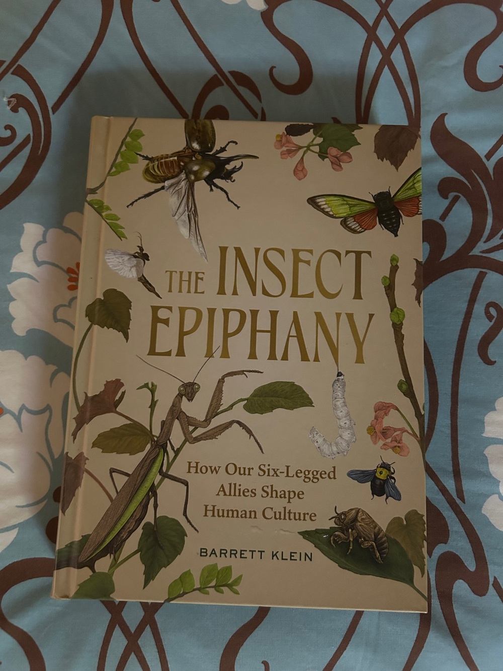 The Insect Epiphany Hardcover Nonfiction Book